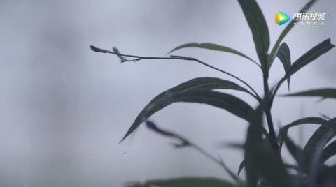 双面偶像u