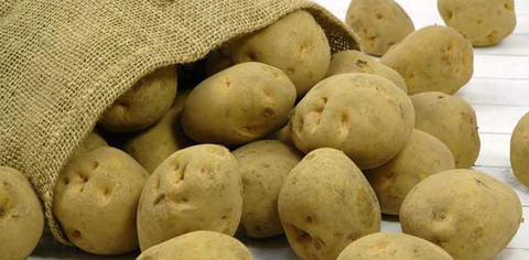 20101222-potato1