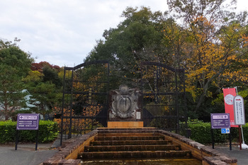 2.黄色の紅葉が綺麗