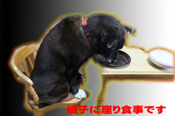 椅子に座り食べる