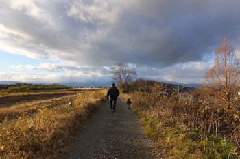 夕方日野川の土手散歩