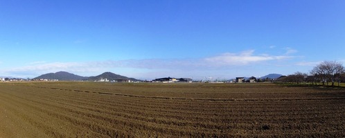2019年元旦田園風景