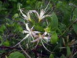 e0c09629.jpg
