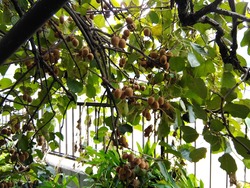 IMG_20180830_113125