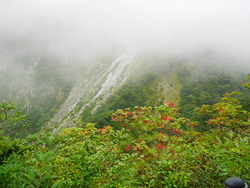 P1020575