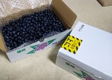 IMG_20180819_082245