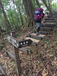1331-1
