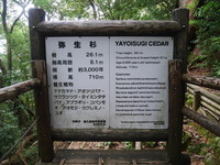 1331-2