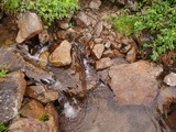 P1160911