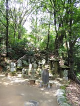 IMG_20180902_120705