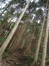 IMG_20180917_115045