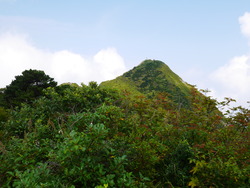 P1020588