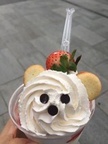 grdr0017267023_0192635578pc