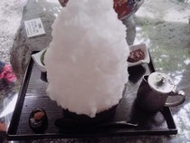 grdr0008219525_0194380189_04