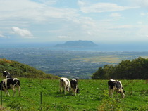 7cba71a236444a09e467121b446367b5-iloveimg-resized