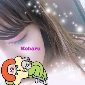 grdr0012831210_0273356585pc