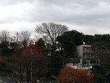 冬景色.jpg