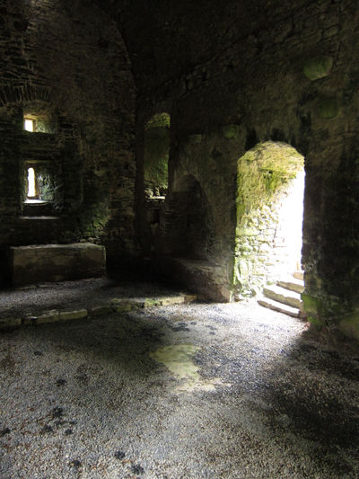 agaviller_Ireland