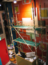 benjamin moore