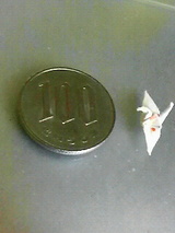 26e44222.jpg