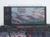 ビジュアル