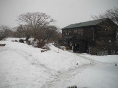 DSCF1624