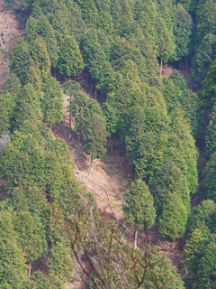 R0010446
