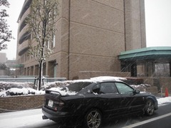 DSCF4381