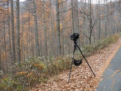 DSCF5745