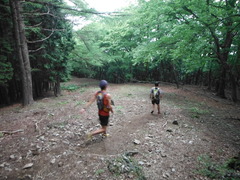 DSCF2608