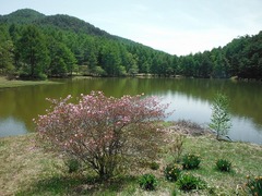DSCF0444