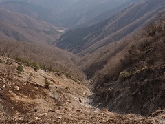 R0010613