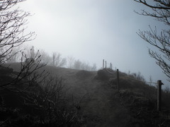 DSCF2025