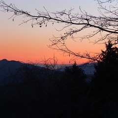 DSCF4623