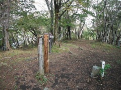 DSCF3818