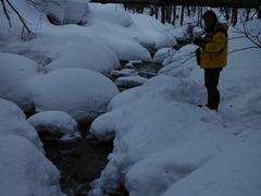 DSCF4181