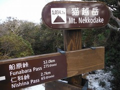 DSCF6145