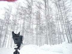 DSCF4196