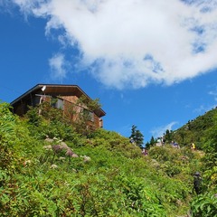 DSCF2911