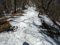 DSCF1308