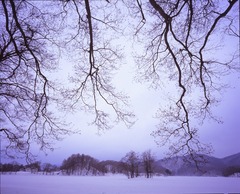 裏磐梯雪面 1段オーバー