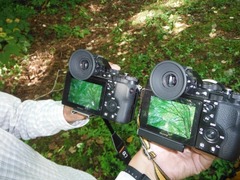DSCF7026