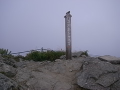 R0108853