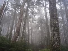 R0012037