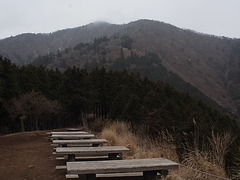 R0010287