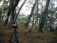 DSCF3812