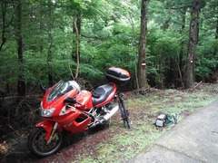 DSCF0594