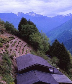 下栗の里