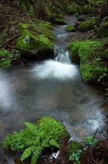 R0010040_raw