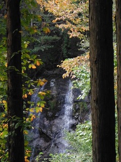 DSCF3848